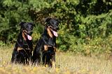 BEAUCERON 714